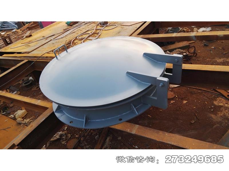 留坝县水渠管道钢制拍门