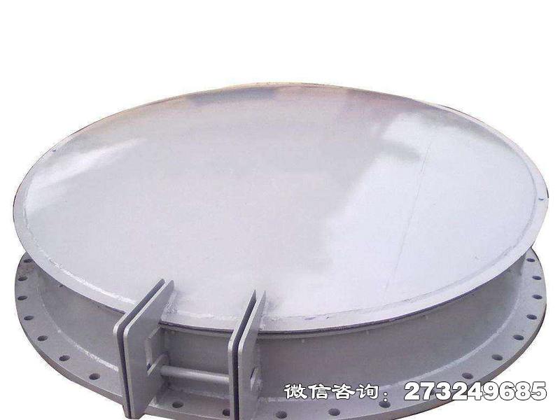 鱼峰铸铁钢制拍门
