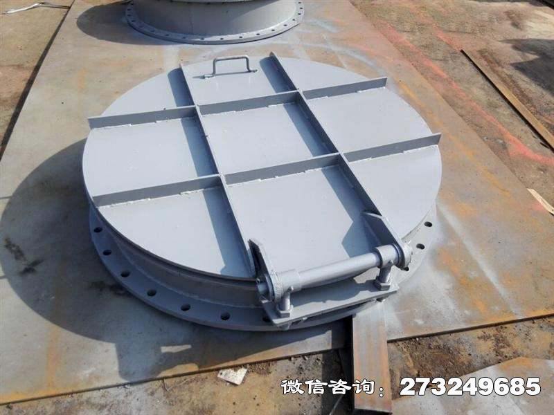留坝县平板式钢制拍门