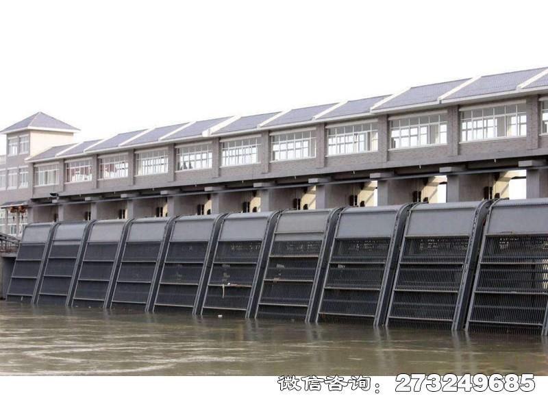 鱼峰电厂拦污栅条清污机