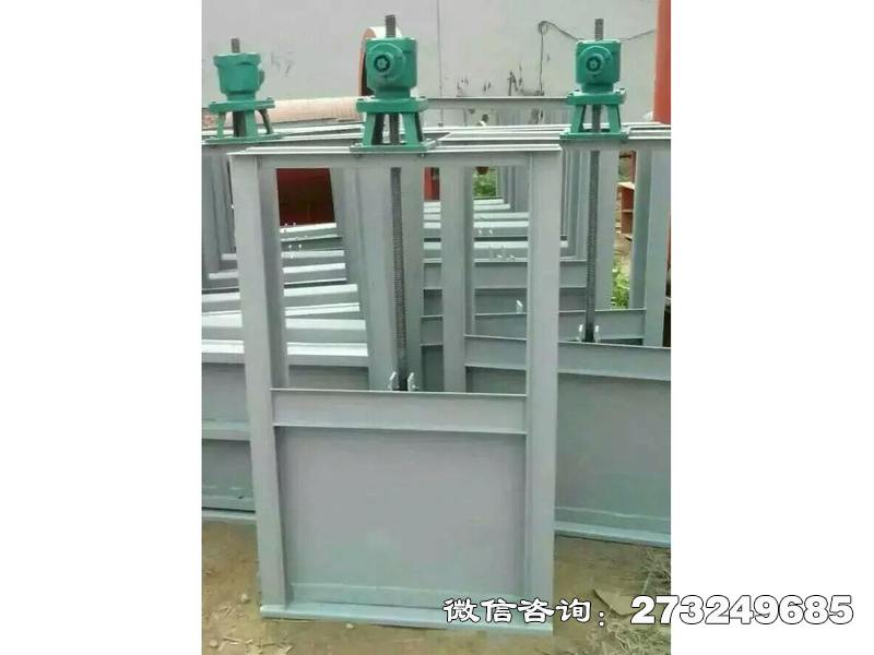 留坝县机闸一体排水闸门