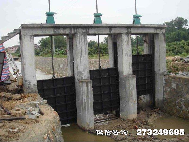 留坝县水库启闭闸门